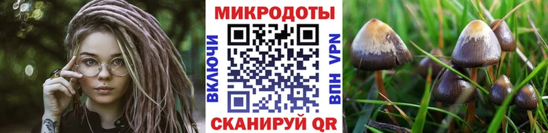 kraken   Сарапул  Псилоцибиновые грибы мухоморы 